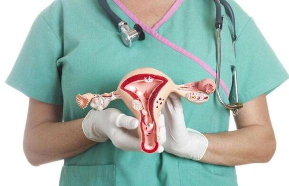没有子宫试管代怀【没有子宫的女性如何通过试管代怀生育?】