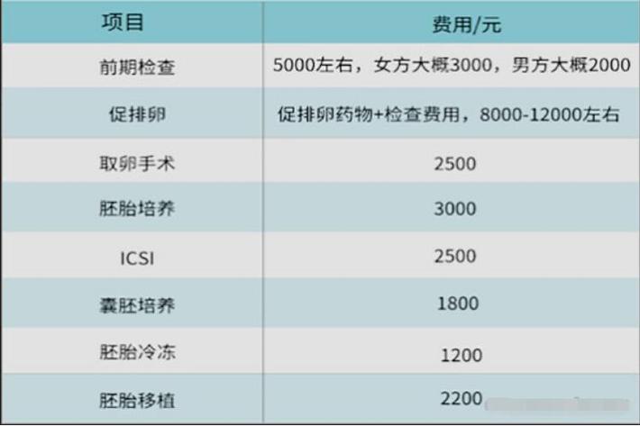 试管婴儿包生男孩费用多少(试管婴儿包生男孩费用查询)