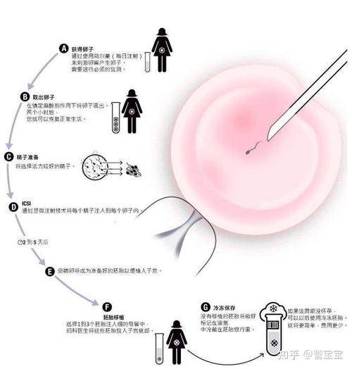 国外做试管代怀小孩落户(国外试管代怀小孩落户政策解读)