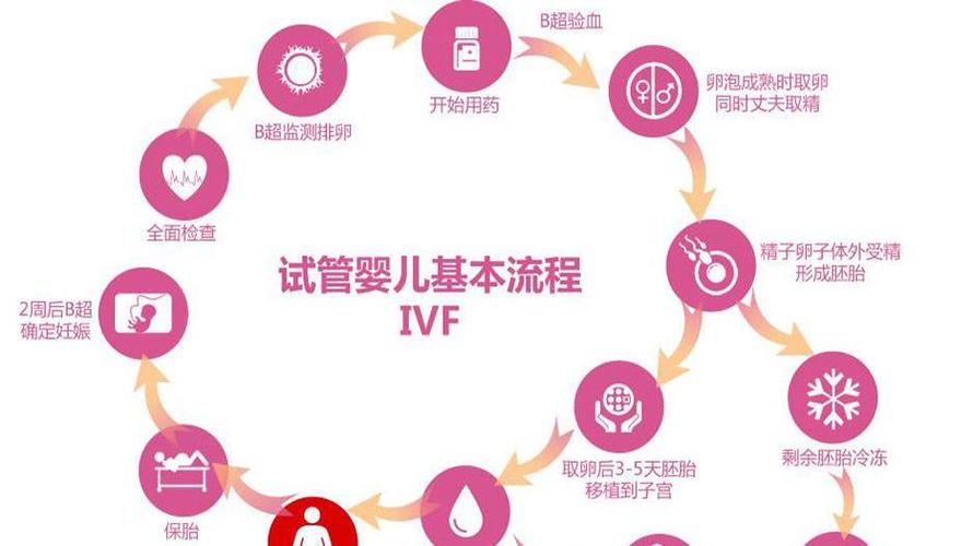 试管供卵代生男孩_试管婴儿：代孕男孩计划