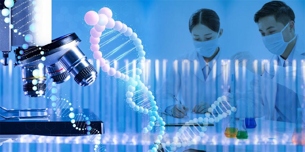 美国的试管代怀机构(美国试管代怀机构:助您实现梦想)