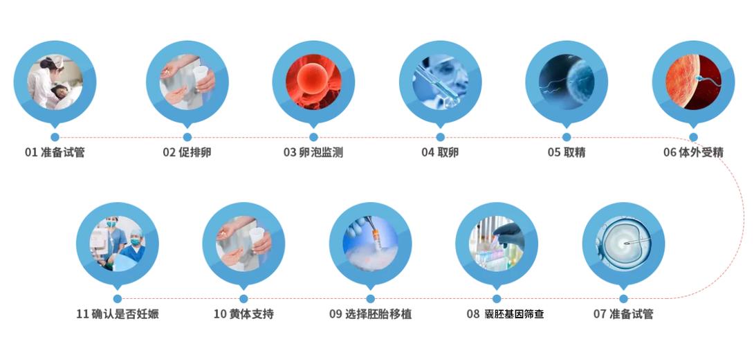 赴美国做试管代怀(赴美国试管代怀:一窥美国试管代怀之路)
