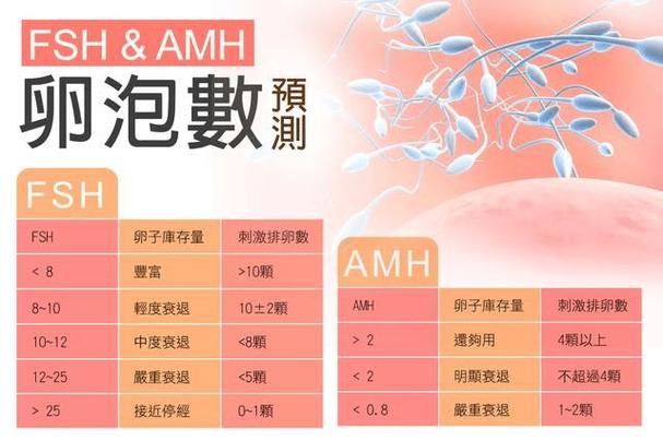 做供卵试管婴儿成功率-供卵试管婴儿成功率大揭秘