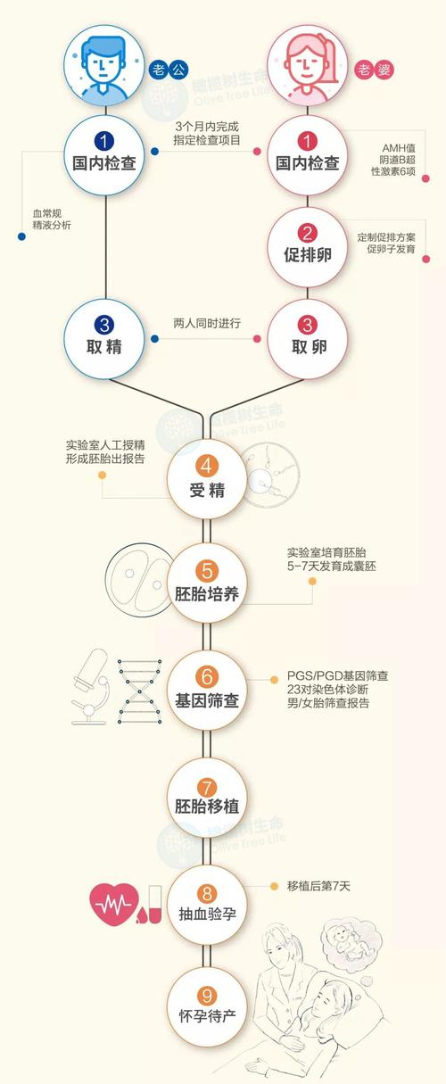 同性试管代怀产子的流程-同性试管代怀产子流程解析