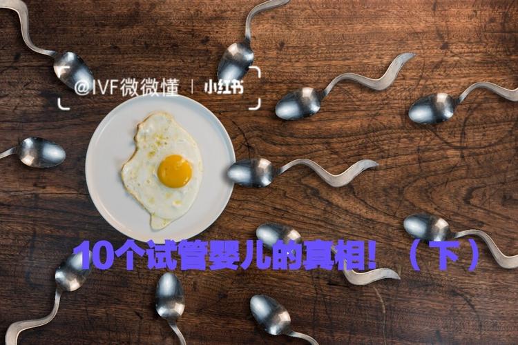 俄罗斯同性恋试管代怀套餐-俄罗斯同性恋试管代怀套餐:实现梦想的完美选择